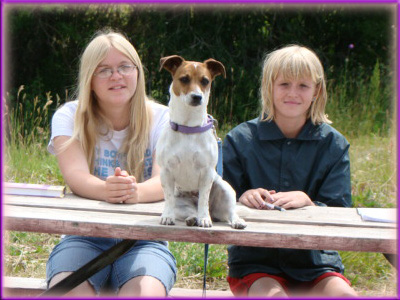 Jack Russell Terrier matriarch at Spankys - Cassie camping